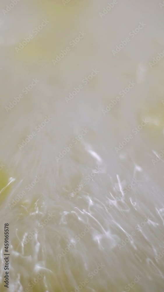 Boil the pasta vigorously in a saucepan with bubbles. Close-up. Boil the pasta vigorously in a saucepan with bubbles. Close-up.