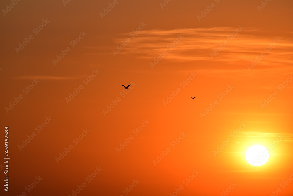 Romantic sunset  , big sun in the sky in the evening. Orange air space