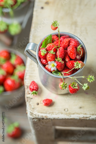 Sweet wild strawberries straight from garden. Red wild strawberries.
