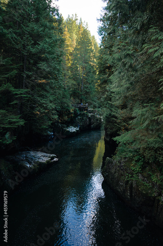Cable pool Capilano river in the forest