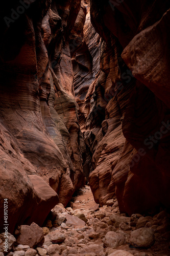 Looking Up From The Floor Of Buckskin Gulch