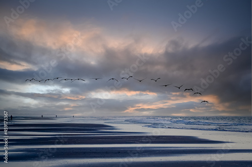 Flock of pelicans in formation fly over Wrightsville beach at sunrise photo