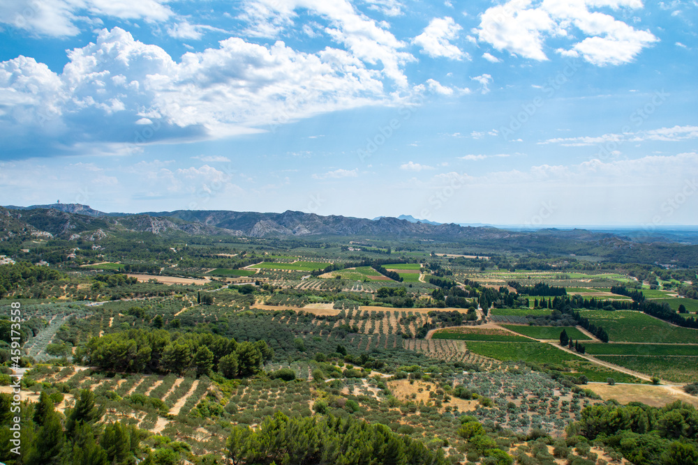 Dans les Alpilles