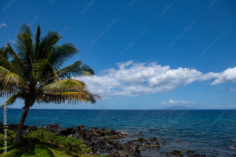 Beautiful beach with palm trees and sky. Summer vacation travel holiday background concept. Hawaiian paradise beach. Luxury travel summer holiday background.