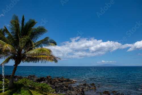 Fototapeta Naklejka Na Ścianę i Meble -  Beautiful beach with palm trees and sky. Summer vacation travel holiday background concept. Hawaiian paradise beach. Luxury travel summer holiday background.