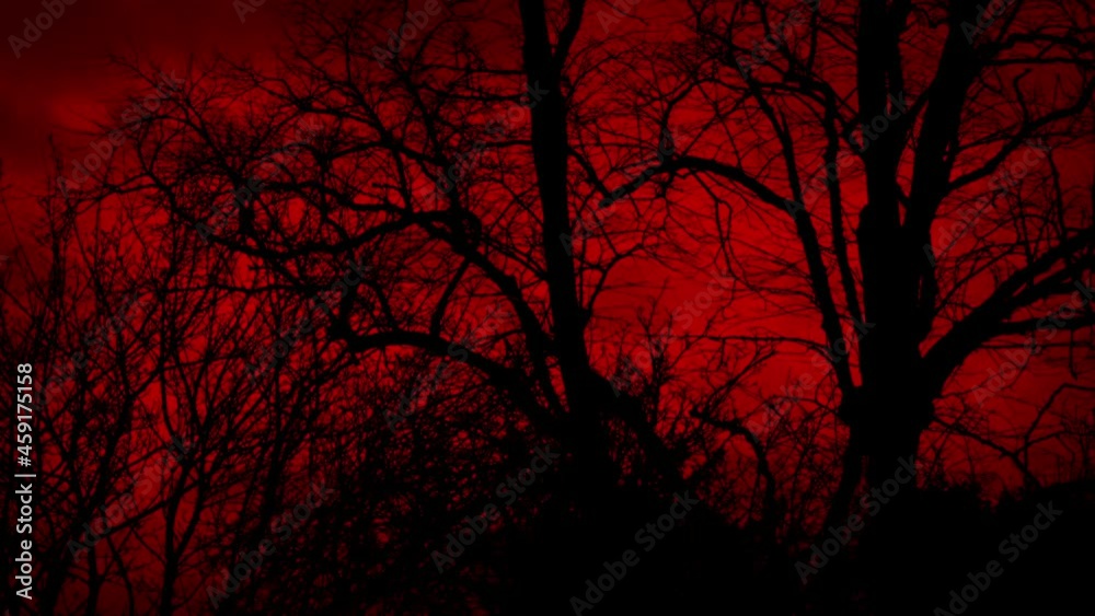 Trees Cover Scary Red Sky In Storm Winds