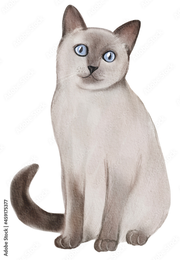Watercolor illustration with cute cat isolated on white background