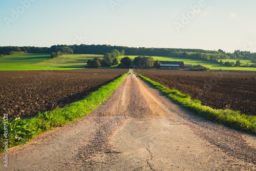 road in the field photo