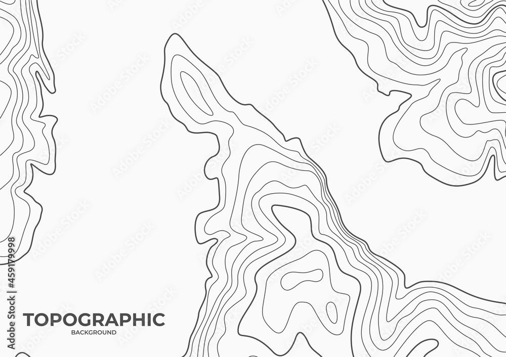 Fototapeta premium topographic map background. peninsula contour map. cartography vector pattern