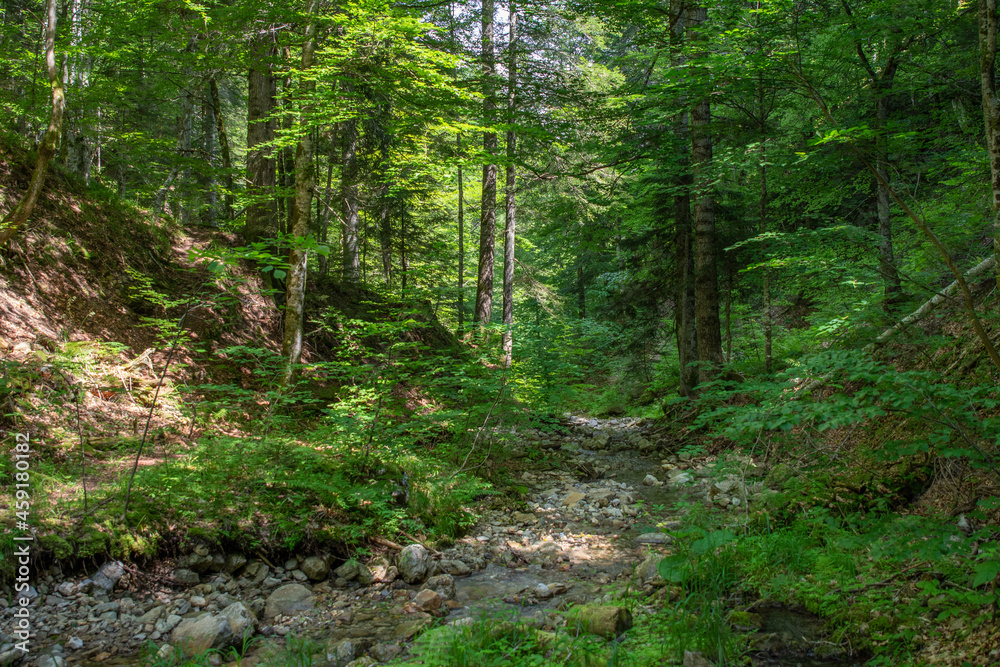 The Lindar river in the Bauges Massif in french Alps