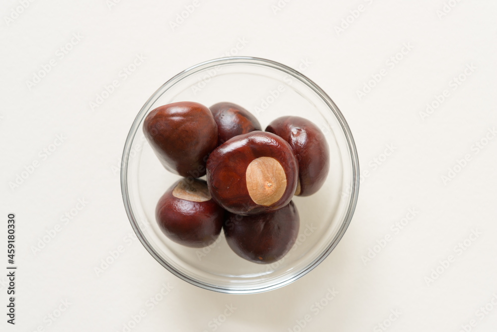 Obraz premium horse chestnuts in a glass bowl