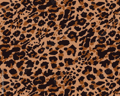 Leopard pattern design  vector background