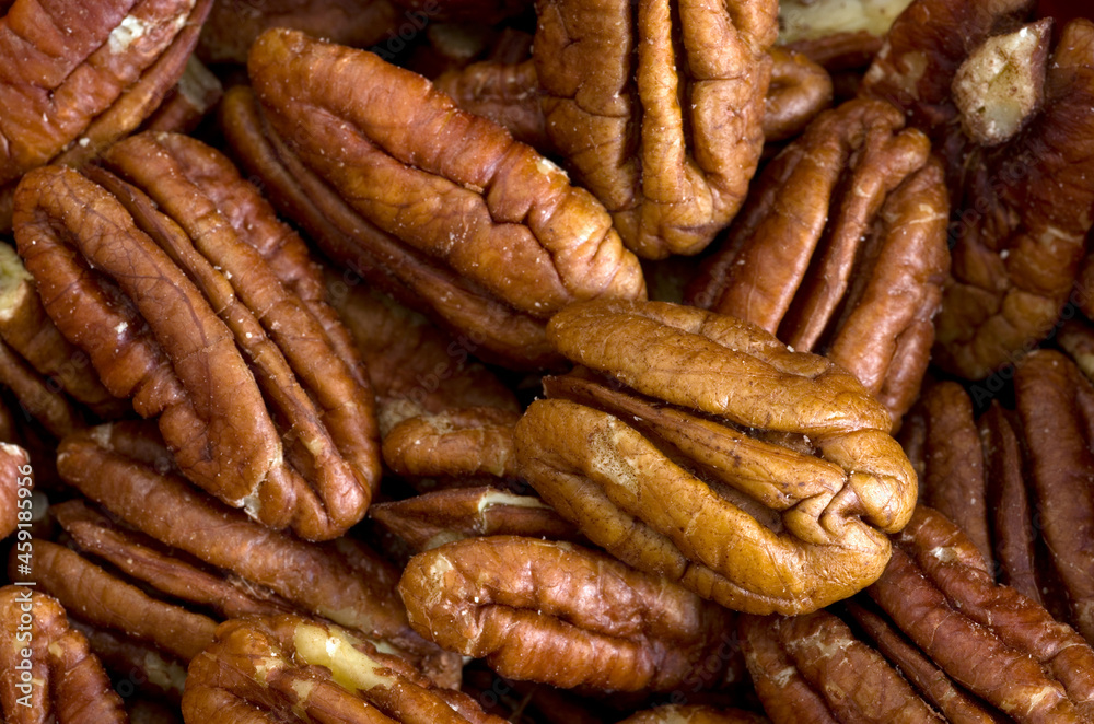Top View Macro Image of Raw Pecane Halves Top View Macro Image of Raw Pecane Halves
