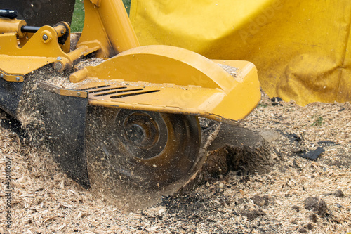 stump grinder in use grinding tree stump