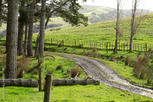 Trees in the Countryside Looking Through to the Hills - Cloudy Day with Dirt Drive Way