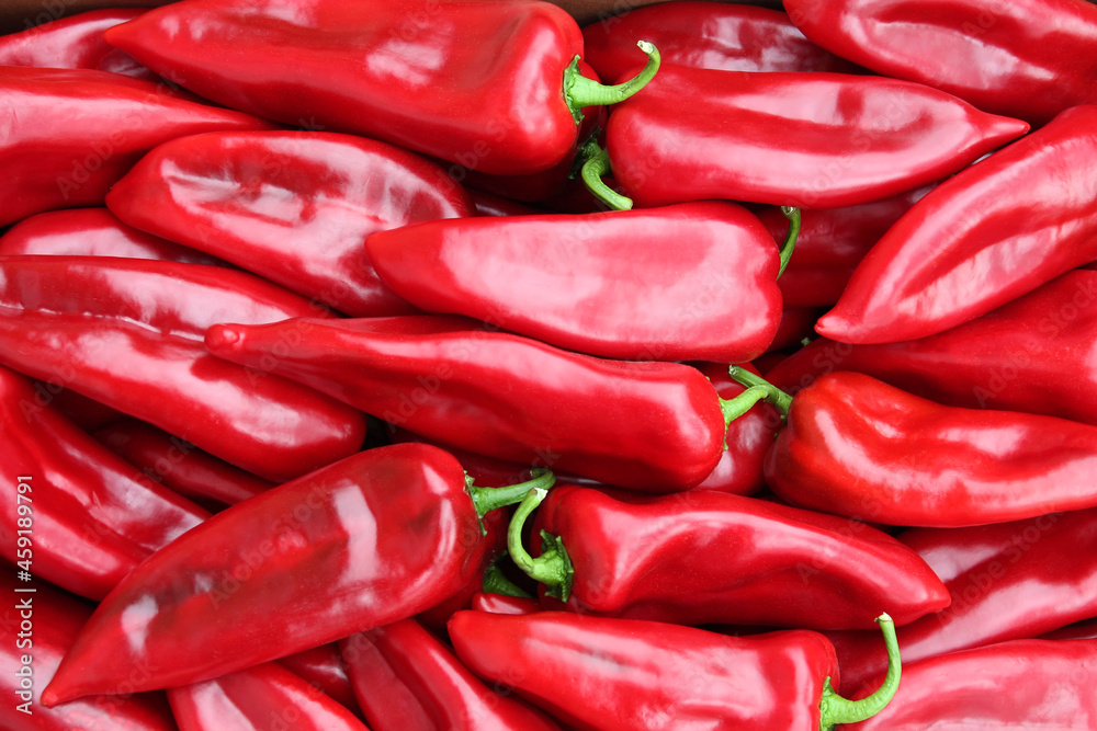Heap of ripe big red peppers. Heap of ripe big red peppers.