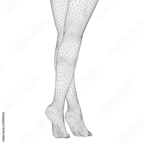Vector illustration of a human body. Female legs in the form of a three-dimensional triangular mesh
