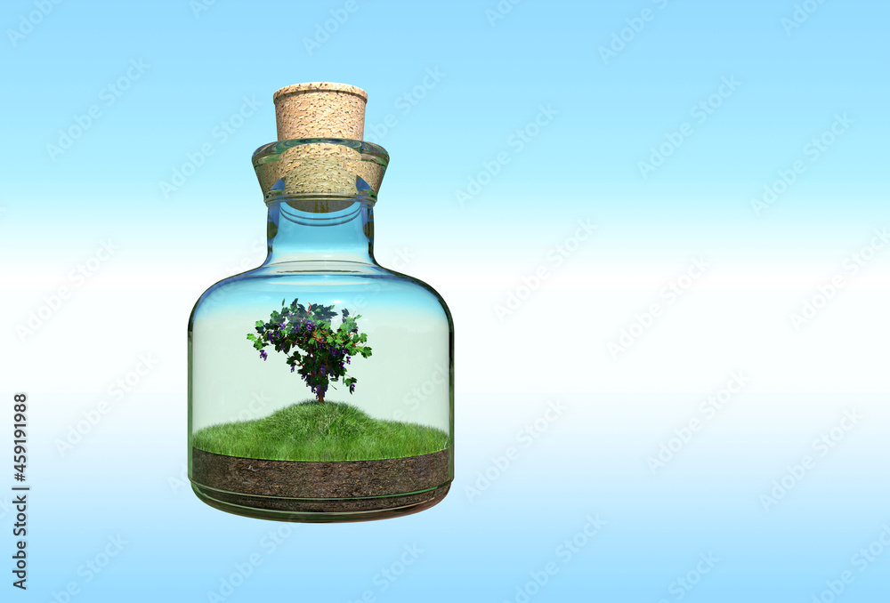 Vine in a glass bottle sealed with a cork stopper Vine in a glass bottle sealed with a cork stopper