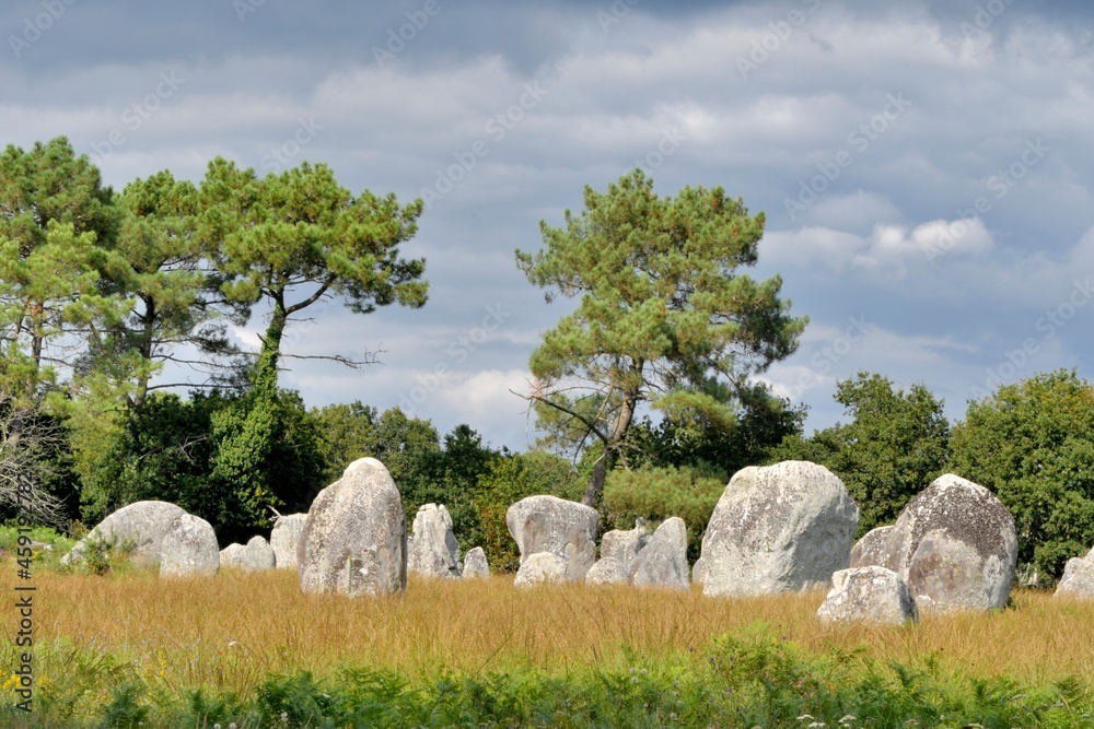 alignments of menhirs at Carnac in Brittany France