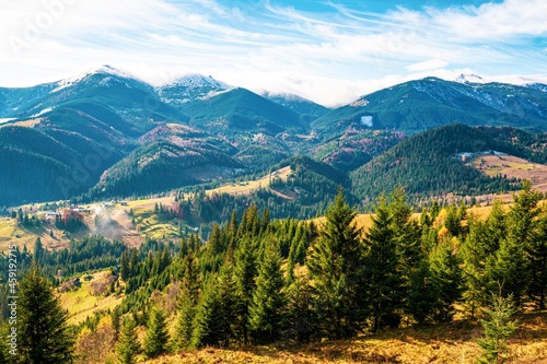 Deforestation in the mountains of Carpathian, view on a beautiful cloudy warm day © YouraPechkin