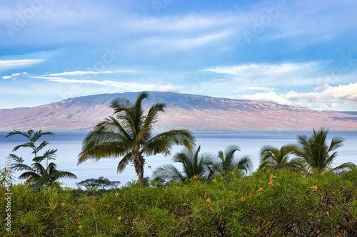 The island of lanai seen from between palm trees on a roadside on maui. © manuel