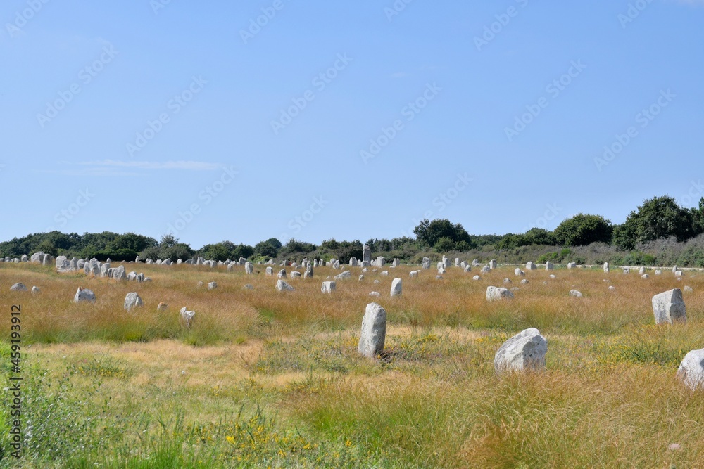 Fototapeta premium alignments of menhirs at Carnac in Brittany France
