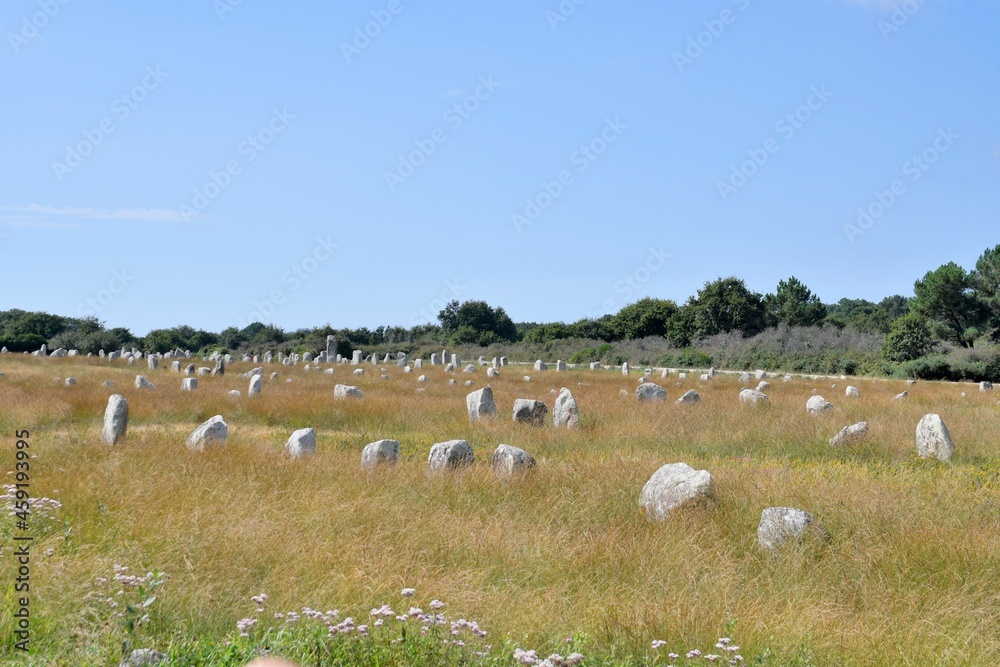 Fototapeta premium alignments of menhirs at Carnac in Brittany France