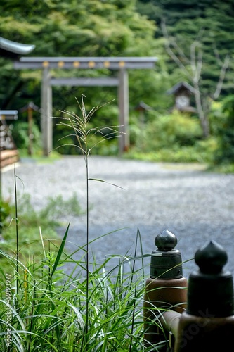 spa still life photo