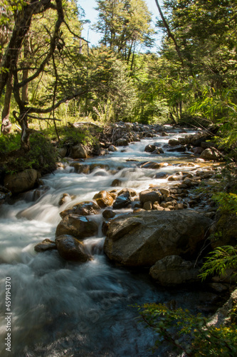 Río y árboles