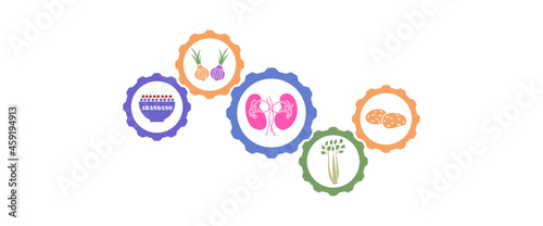 alimentos saludable para el riñón 