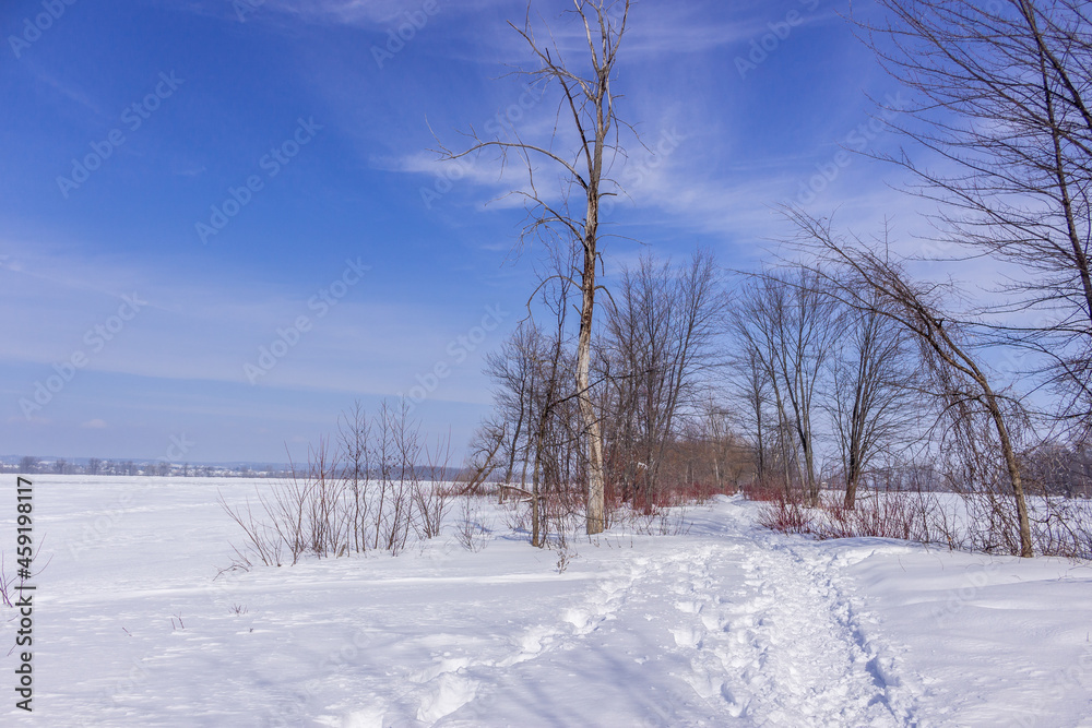 Fototapeta premium Winter wonderland scene and landscape Ontario Canada