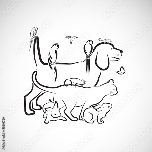 Vector group of pets - Dog, Cat, Parrot, Rabbit, Butterfly, Hummingbird, isolated on white background. Pet. Animals. Easy editable layered vector illustration. Pet group.