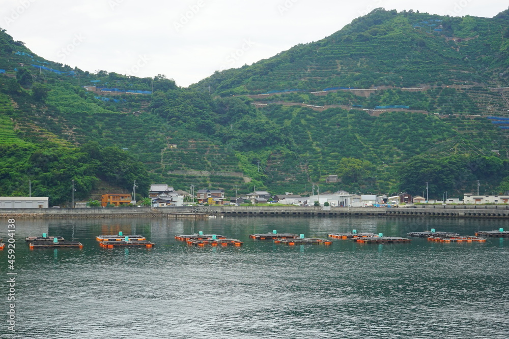 Port of Yawatahama in Ehime, Japan - 日本 愛媛県 八幡浜港