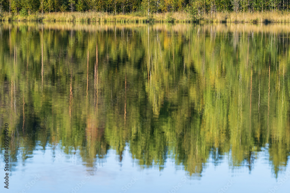 Forest lake with reflection of green trees in water. Autumn in woods with river. Pure nature beauty. Forest lake with reflection of green trees in water. Autumn in woods with river. Pure nature beauty.