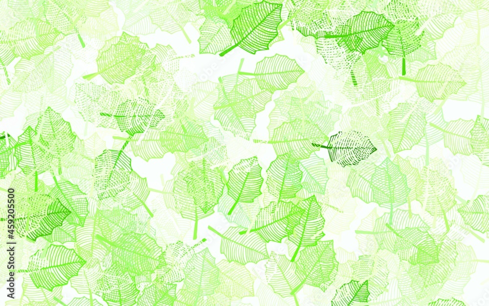 Light Green, Yellow vector doodle texture with leaves. Light Green, Yellow vector doodle texture with leaves.