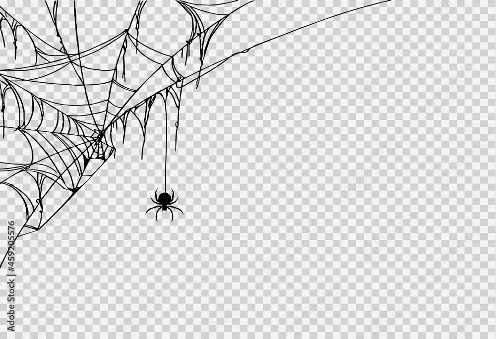 Halloween party background with spider hanging from spiderwebs isolated png or transparent texture,blank space for text,element template for poster,brochures, online advertising,vector illustration - obrazy, fototapety, plakaty 