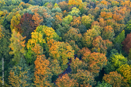 Deciduous autumn forest, aerial view, pattern or texture.