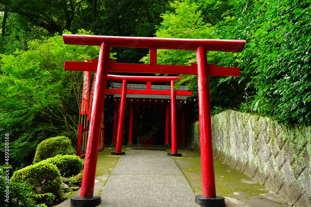 Torii Gate of Hakuryuu Inari Shrine in Oita, Kyushu, Japan - 日本 九州 大分県 別府 白龍稲荷大神 鳥居 Torii Gate of Hakuryuu Inari Shrine in Oita, Kyushu, Japan - 日本 九州 大分県 別府 白龍稲荷大神 鳥居
