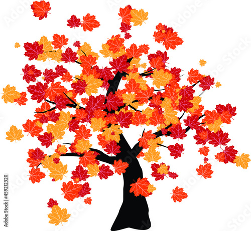 2D art of red orange yellow colored maple tree which is signature of autumn season; vector of cartoon maple tree in falls