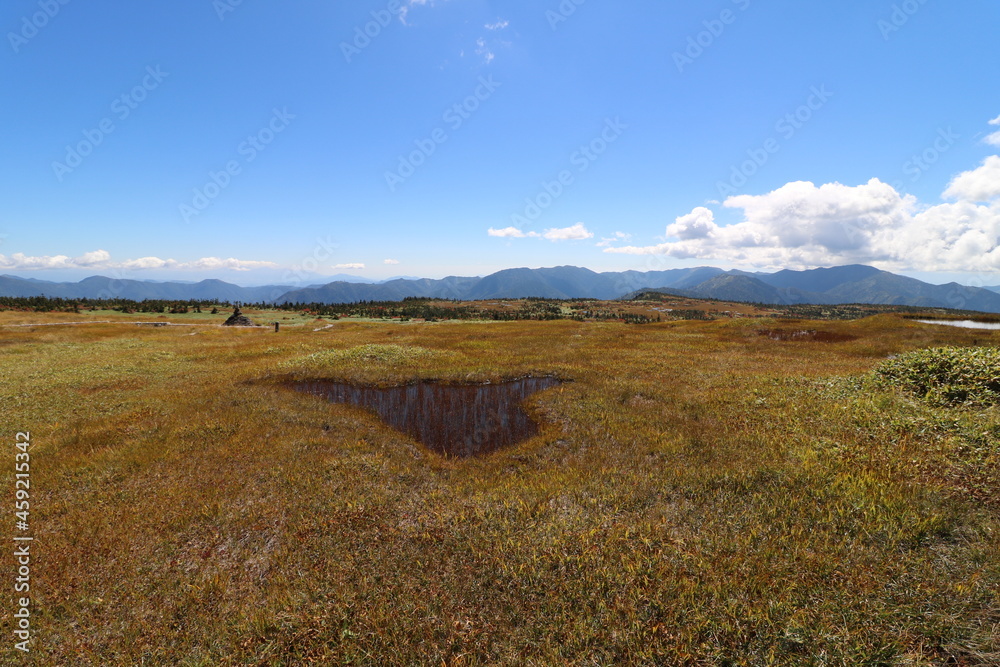 Fototapeta premium 新潟県湯沢の苗場山の登山