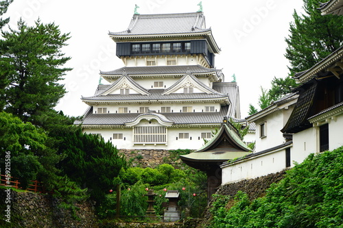 Kokura-jo or Kokura Castle in Fukuoka, Japan - 日本 福岡県 北九州 小倉城 天守閣 お濠 photo