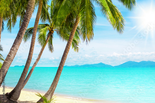 Tropical island beach view, exotic beautiful nature landscape, turquoise sea, ocean water, green palm tree leaves, white sand, sun, blue sky, clouds, summer holidays, vacation, travel, relax, resort
