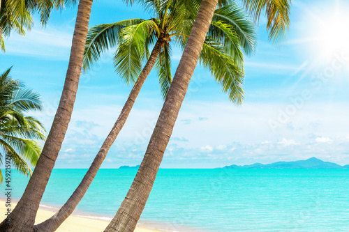 Tropical island beach view  exotic beautiful nature landscape  turquoise sea  ocean water  green palm tree leaves  white sand  sun  blue sky  clouds  summer holidays  vacation  travel  relax  resort