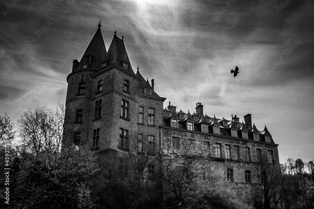 Château de Durbuy dans une ambiance mystérieuse en noir et blanc