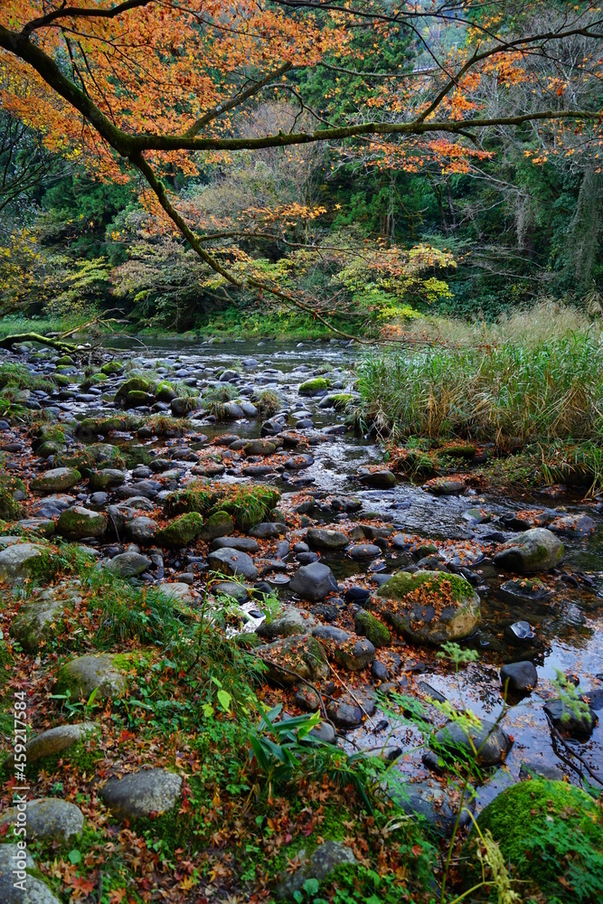 秋の山中温泉の鶴仙渓遊歩道からの眺め 秋の山中温泉の鶴仙渓遊歩道からの眺め