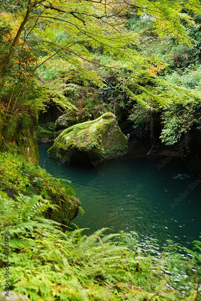 Naklejka premium 加賀温泉郷、山中温泉の鶴仙渓の渓流