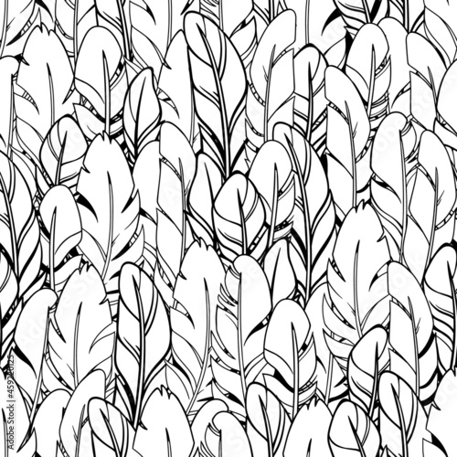 simple monochrome seamless feather illustration