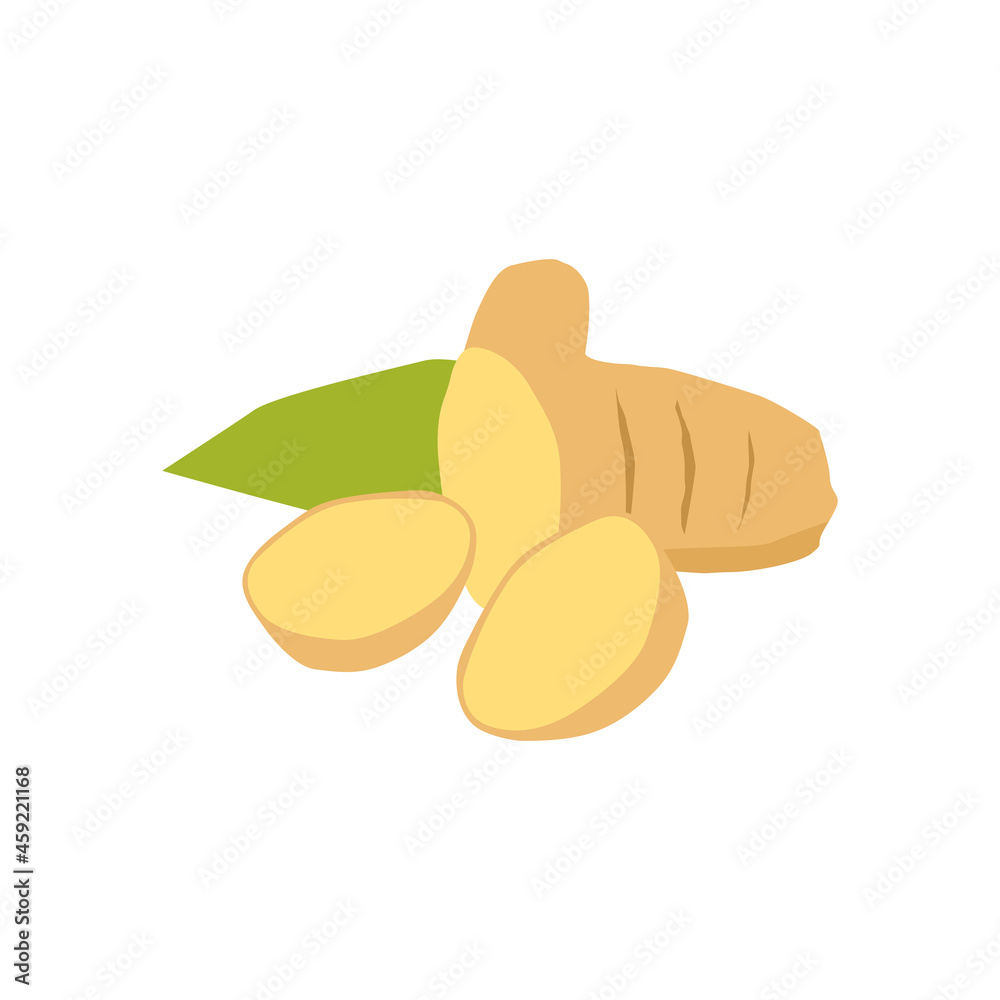 Ginger cut pieces vector illustration isolated on white background Ginger cut pieces vector illustration isolated on white background