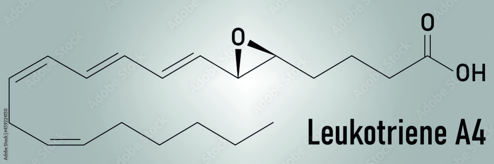 Leukotriene A4 (LTA4) molecule. Skeletal formula. Leukotriene A4 (LTA4) molecule. Skeletal formula.