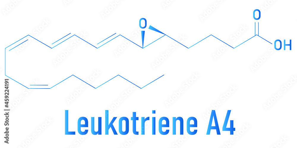 Leukotriene A4 (LTA4) molecule. Skeletal formula. Leukotriene A4 (LTA4) molecule. Skeletal formula.